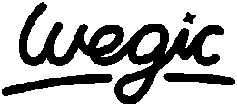 Wegic